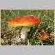 DSC00060.JPG