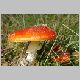 DSC00061.JPG