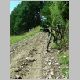 DSCN3875.JPG