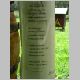 DSCN3901.JPG