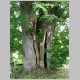 DSCN3919.JPG