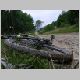 DSCN3953.JPG
