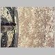 DSCN4001.MOV