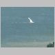 DSCN4038.JPG