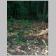 DSCN4050.JPG
