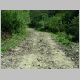 DSCN3961.JPG