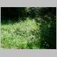 DSCN3963.JPG