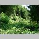 DSCN3967.JPG