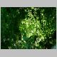 DSCN3970.JPG