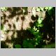 DSCN3971.JPG