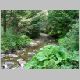DSCN3975.JPG