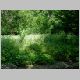 DSCN3976.JPG