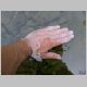 DSCN3979.JPG