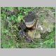 DSCN3981.JPG