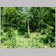 DSCN3982.JPG