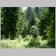 DSCN3984.JPG