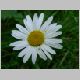 DSCN3985.JPG
