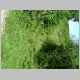 DSCN3988.JPG