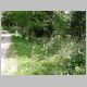 DSCN3989.JPG