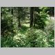 DSCN3990.JPG