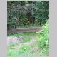 DSCN6032.JPG