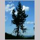 DSCN6064.JPG