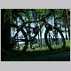 DSCN6111.JPG
