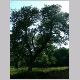 DSCN6140.JPG