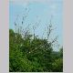 DSCN6155.JPG