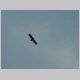DSCN6161.JPG