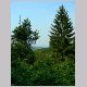 DSCN6167.JPG