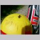 DSCN6181.JPG