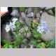 DSCN6191.JPG