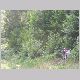 DSCN6199.JPG
