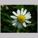 DSCN5429.JPG