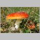 DSC00060.JPG